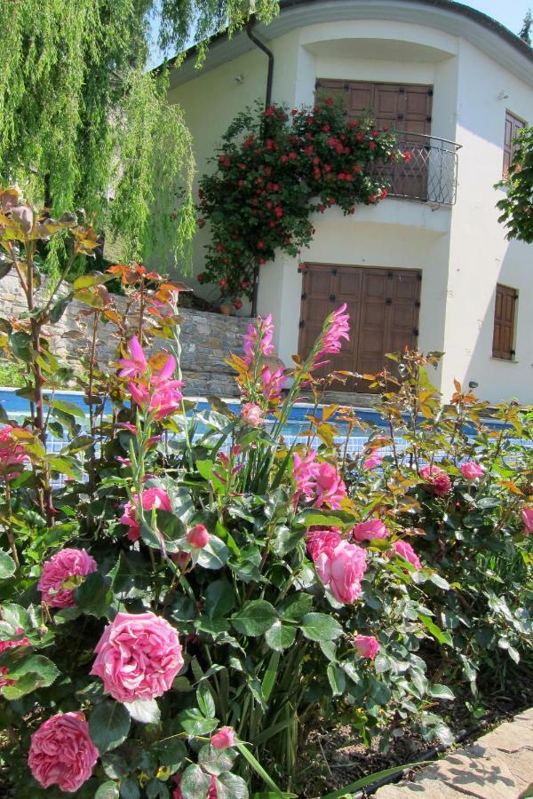 Sommer Villa *